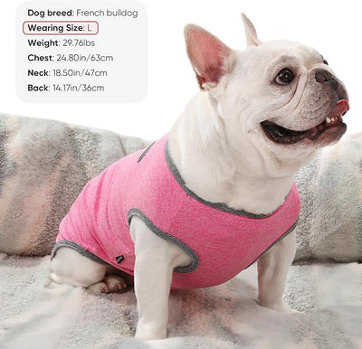 3 Pack Lightweight Sun Protection Dog Shirt Breathable Sleeveless Dog T Shirts Extra Soft Top Tank Dog Clothes for Outdoor Activities (Purple + Skin Pink + Light Pink, X-Small)