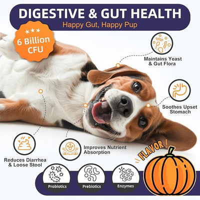 NATURE TARGET Probiotics for Dogs, 6 Billion Dog Probiotics with Prebiotics & Enzymes for Digestive & Gut Health, Pumpkin, Omega-3 & Multivitamins for Itchy Skin, Allergies, 120 Dogs Probiotics Chews