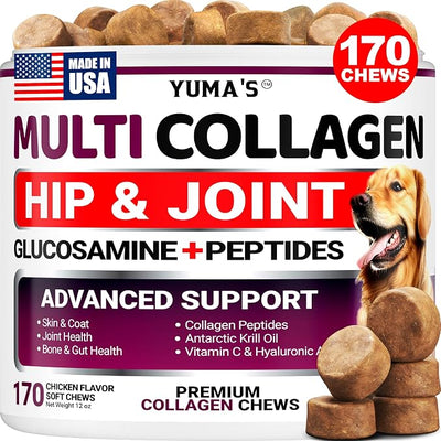 YUMA'S Advanced Collagen for Dogs - 170 Chews - Hip and Joint Supplement - Multi-Collagen Peptides - Skin & Coat Health, Cartilage & Mobility Support - Glucosamine, Vitamin C, Hyaluronic Acid