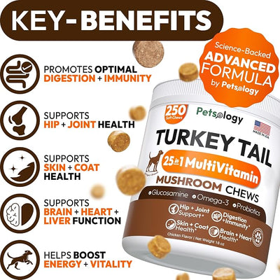 Turkey Tail Mushroom for Dogs - 250 Chews - Lion’s Mane - Shiitake - Reishi - Buddy Immune Support Guard - Lipoma Mushroom Supplement for Dogs Lumps and Bumps Glucosamine, Health Vitamins Multivitamin