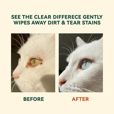 Eye Wipes for Dogs & Cats, Gently Remove Tear Stains, Debris & Discharge, Hypoallergenic Pet Eye Cleaner for Eyes, Wrinkles & Face, Unscented with Natural Coconut Oil & Provitamin B5, 100ct