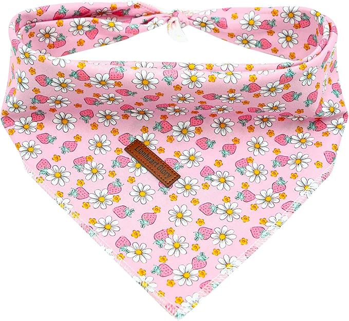 Lionheart Glory Strawberries Print Dog Bandana - Pink Summer Dog Scarf, Soft Washable Square Bandanas for Small Dogs