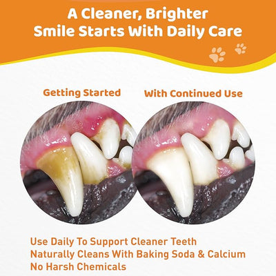 Dog Teeth Cleaning Powder - Natural Dog Dental Powder -Gentle Dog Breath Freshener, Dog Plaque and Tartar Remover, Vet Formulated No Sodium Hexametaphosphate- 60 Scoops, 4.23oz (120g)