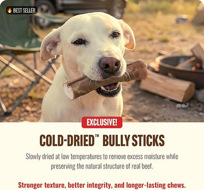 Natural Farm Cold-Dried™ Bully Sticks 6 Inch (10 Count) – Odor Free, High Protein Dog Chews – 100% Beef Pizzle, Single Ingredient.