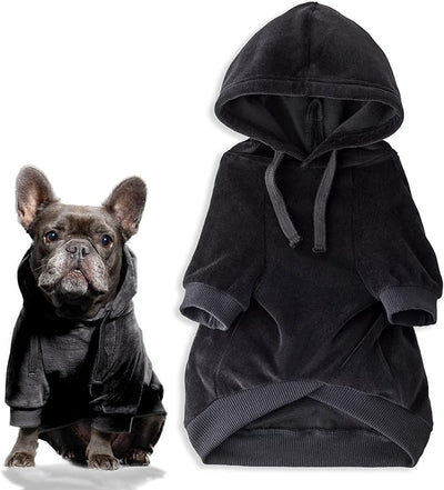 Pet Passion Cooper II Organic Cotton Velour Dog Hoodie Pet Coat for Small, Medium and Large Dogs, Black, X-Large (55-80 lbs)