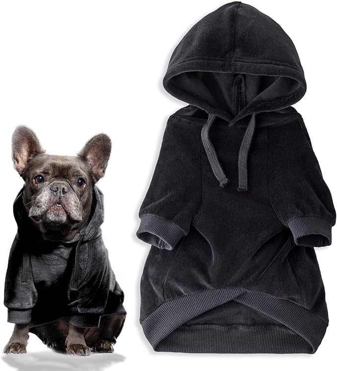 Pet Passion Cooper II Organic Cotton Velour Dog Hoodie Pet Coat for Small, Medium and Large Dogs, Black, X-Small (5-12 lbs)