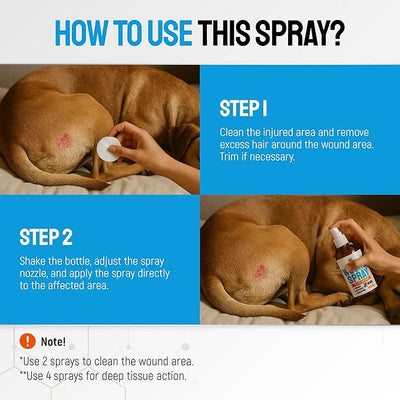 SILVER GRADE Dog Wound Spray Helps with Hot Spots, Irritations, Bites, Burns, Rashes, Itch, Scratching – Better Use with a Dog Cone to Stop Licking – Safe for Large and Small Breeds – 4 oz
