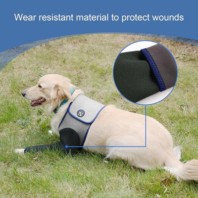 Coodeo Dog Recovery Suit, Cone Collar Alternative, Abrasion Resistant Dog Recovery Sleeve, Washable 2.5mm Thick and Waterproof, Pet Wounds Prevent Licking, Bite, Keep Dry（Grey，M