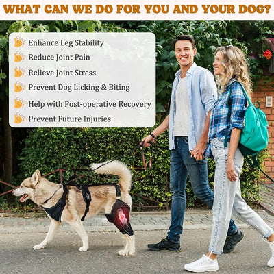 Dog Knee Braces for Back Leg, Adjustable Dog Leg Braces for Torn ACL Hind Leg with Metal Stabilizers, Better Recovery Knee Brace for Rear Leg Cruciate Ligament Injuries & Hip Dysplasia, L