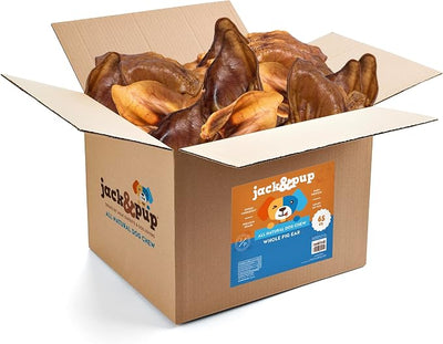 Jack&Pup Pig Ears for Dogs (65 Pack) - All Natural Single Ingredient Extra Thick Large Pigs Ears - Premium Dog Pig Ear Treats - Natural Dog Pork Chews; Excellent Rawhide Alternative