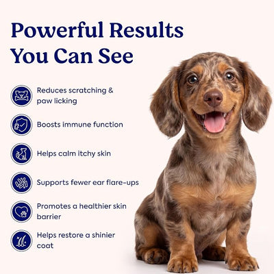 Allergy & Immune Chews for Dogs – Itch Relief Support – Allergy Supplement with Vitamins – Skin & Immune Support with Colostrum, Quercetin & Astragalus – 30 Soft Chews