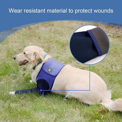 Coodeo Dog Recovery Suit, Cone Collar Alternative, Abrasion Resistant Dog Recovery Sleeve, Washable 2.5mm Thick and Waterproof, Pet Wounds Prevent Licking, Bite, Keep Dry（Purple，M
