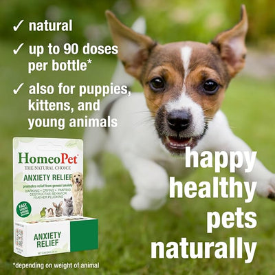 HomeoPet Anxiety Relief Medicine for Pets, Natural Anxiety Relief for Dogs and Cats, Cat and Dog Calming Medicine, 15 Milliliters
