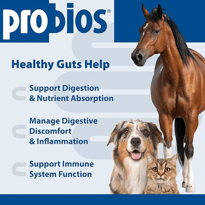 Probios Digestive Support Probiotic for Dogs, Horses, Cats, Gut Health Powder for All Species, Daily Supplement for Digestion Immune Support, 240 Grams