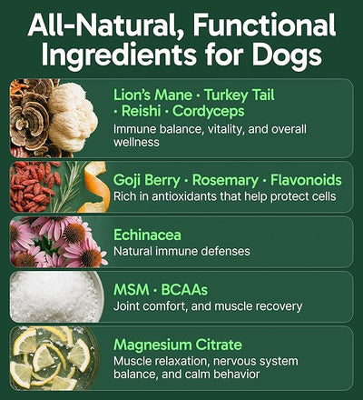 K9 Immune, All-Natural Mushroom Powder for Dogs for Immunity, Digestion, Joints, & Energy, Antioxidant-Rich & USA-Made, Dog Immune Support with Turkey Tail Mushroom for Dogs, 30 Servings
