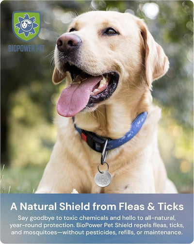 Shield Tag - Natural Flea & Tick Repellent Collar Tag for Dogs & Cats - Waterproof, Lasts 12 Months - Stainless Steel Pendant - Small/Regular Tag Bundle (2 Pack)
