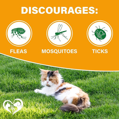 Flea and Tick Prevention Chewable Pills for Dogs and Cats - Revolution Oral Flea Treatment for Pets - Pest Control & Natural Defense - Chewables Small Tablets Made in USA (Chicken (for Cats))