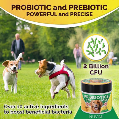 Probiotics for Dogs - Dog Probiotic & Prebiotic Tablets - Digestive Support Supplement for Gut Health, Tummy Relief, Itching, Diarrhea, Allergies, Bad Breath - 120 Chicken Flavor