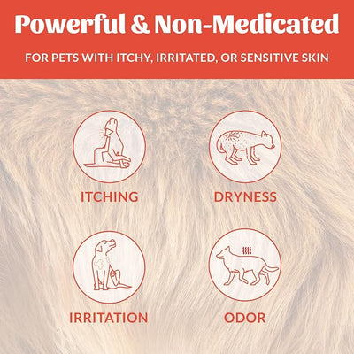 SKOUT'S HONOR Probiotic Itch Relief Spray for Pets - Non-Medicated, Fragrance-Free, Natural, Vegan, Long-Lasting Relief, with Soothing Aloe & Avocado Oil, 8 oz, 2-Pack