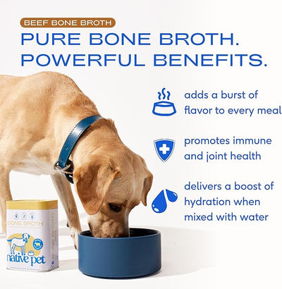 Native Pet Beef Bone Broth for Dogs (4.75 oz) & 5 Small Yak Chews for Dogs - Bone Broth Powder Food Topper and All Natural Dental Chew Made with Yak Cheese for Aggressive Chewers
