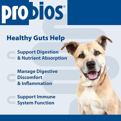 Probios Digestive Support Chewables for Dogs, Daily Probiotic Supplement with Digestive Enzymes and Prebiotics for Gut Health and Immune Support, 1 lb (Pack of 2)