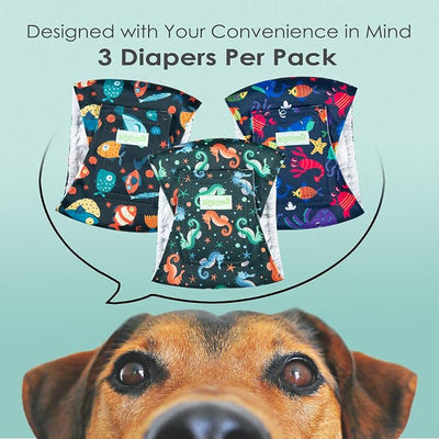 wegreeco Washable Male Dog Belly Band (Stylish Pattern)- Pack of 3 - Male Dog Belly Wrap, Dog Diapers Male (Marine Horse, X-Small)