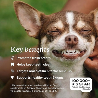 PetLab Co. ProBright Dental Powder - Dog Breath Freshener - Teeth Cleaning Made Easy – Targets Tartar & Bad Breath - Formulated for Small Dogs - Pack of 2