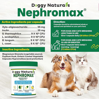 NEPHROMAX™ Synbiotic Capsules Dogs Cats -36 Billion CFU- Kidney Support Supplement for Cats & Dogs, Probiotics & Prebiotics for Digestive Health, Small & Easy-to-Swallow Capsules Made in USA(240 Caps)