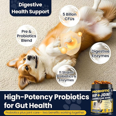 Hip and Joint Supplement for Dogs Probiotics Glucosamine Chondroitin MSM Chew for Dog Arthritis Pain Relief Extend Joint Care, Probiotic for Digestive/Gut Health for Large/Small/Senior - Peanut Butter