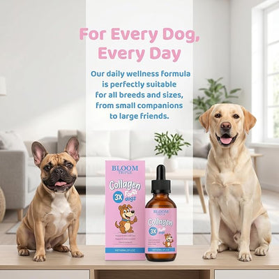 Collagen Liquid for Dogs - 3-Type Collagen Supplement for Skin, Coat & Joint Support, Daily Wellness Formula, Easy Absorption Liquid Drops, Bacon Flavor - 2 fl oz (1)