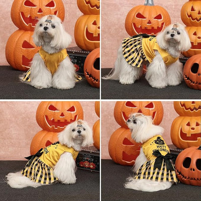 CuteBone Dog Mesh Dress Halloween Puppy Sundress Pet Outfit Summer Fashion for Small Dogs Girl Cat Clothes