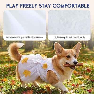 ASENKU Dog Dress Pet Wedding Dress Princess Lace Puppy Birthday Party Outfit Formal Apparel Girl for Small Medium Dogs Cats (Medium, White)