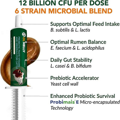 Ruminant Probiotic Paste for Cattle & Goats | Prebiotic + Probiotic | 6 Strains, 12B CFU | Digestive, Rumen & Immune Support - Pack of 2-80G Each
