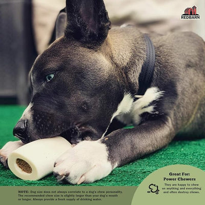 Redbarn Pet Products Small Filled Dog Bones, Peanut Butter Flavor - Long Lasting Stuffed Femur Chew Treat Made in USA for Aggressive Chewers - Case of 20 Bones
