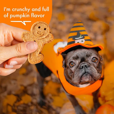 Buddy Biscuits Crunchy Wheat Free Halloween Dog Treats with Pumpkin, 14 oz. Box (Pack of 2)