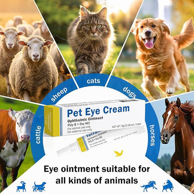 Pet Eye Health Cream for Cats, Dogs, Cattle, Sheep, Horses, Birds, and Puppies, Kitten - 1 Tube 5g