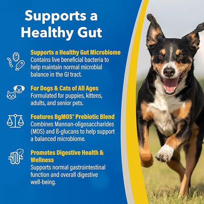 Doc Roy’s GI Synbiotics Probiotic & Prebiotic Supplemental Gel for Dogs & Cats, Digestive & Immune Health Supplement with Live Cultures, BgMOS & Beta Glucans, Chicken Flavor, 30ml Oral Gel