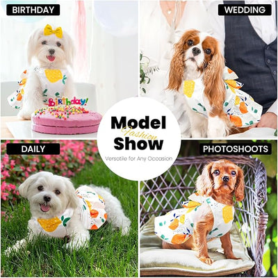 ABRRLO Cute Dog Dress Small Dog Clothes for Girls Female Puppy Outfits Yellow Lemon Pet Summer Clothes Bowknot Doggy Cat Princess Dress Harness for Holiday Birthday Party Costume Clothing(Yellow,L)