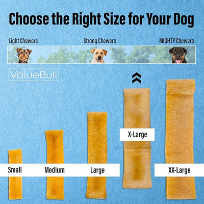 ValueBull Himalayan Yak Cheese Dog Chews, Extra Large, 25 ct Bulk Pack - Long Lasting for Aggressive Chewers, All Natural, Healthy & Safe, Low Odor Nepal Yak Milk Chews