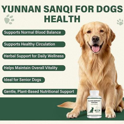 Yunnan Sanqi Herbal Capsules for Dogs – Daily Circulation & Vitality Support, 120 Capsules