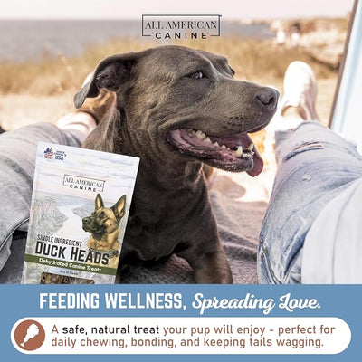 All American Canine 10 Natural Duck Head Dog Treats – Single Ingredient, Dehydrated & Digestible – Low-Fat, High-Protein Chew for Training & Dental Health – Made in USA