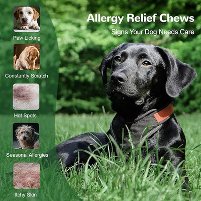 Dog Allergy Relief Chews, Dog Itch Relief Chews for Large Dogs Paw Licking Itchy Skin, Probiotics with Astragalus Omega-3 for Seasonal Allergies Coat Immune Supplement-300ct