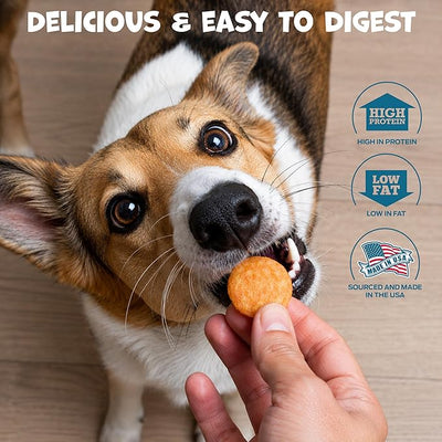 Pack Approved Chicken Chips - Crunchy, Single Ingredient Dog Treat -100% All Natural Chicken Breast - 4oz