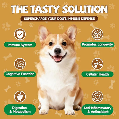 2 Pack Organic Mushroom Supplement for Dogs - 18-in-1 Blend with Turkey Tail, Reishi, Lion's Mane, Supports Immune Defense, Allergy Relief, Joint & Skin Health, Roast Chicken Flavor Liquid, 120mL