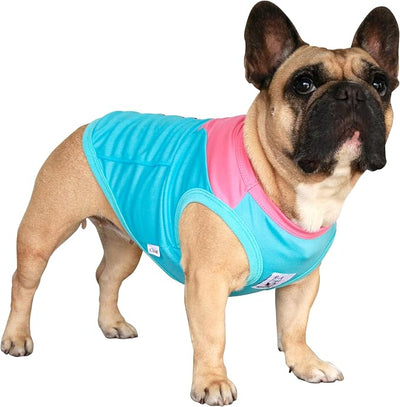 iChoue French Bulldog Summer Cooling Shirt for Dogs UV Sun Protection Vest Sleeveless Breathable Tank Top English Pug Turquoise Rose - Small