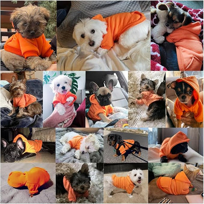 Jecikelon Soft Dog Hoodies for Small Dogs, Fleece Puppy Sweatshirt with Pockets, Warm Winter Cold Weather Coats for Pet Cat, Cute Clothes Puppy Costume (Orange, Large)