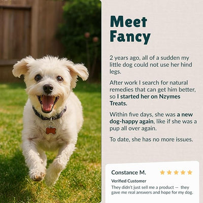 Nzymes® Antioxidant Tiny Treats - for Dogs Joints, HIPS, Paralysis, Skin, Coat, Hair Loss, Aging, Digestion, Seizures - Dog Treats for Small Dogs - 180 Treats - Made in The USA