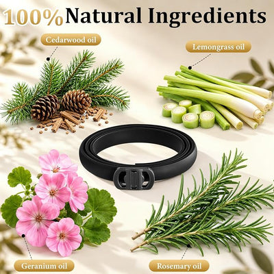 6 Pack Flea and Tick Collar for Dogs, Dog Flea Collar with Natural Essential Oils, Adjustable Size for All Ages & Breeds of Dogs, Black