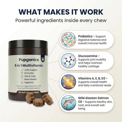 Pupganics Multivitamin Daily Soft Chews for Dogs, 5 in 1 multivitamin for Hip & Joint, Heart Health, Skin & Coat, Digestion & Immune Support, with Probiotics, Glucosamine, Vitamin A/D3/E (Beef)