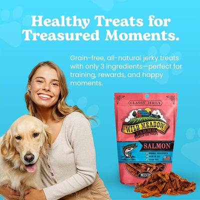 Classic Salmon Minis, Soft Jerky Training Treats for Dogs, Grain-Free, All-Natural & Perfectly Sized for Training, High-Value Rewards in a Convenient 3.5 Ounce Pouch